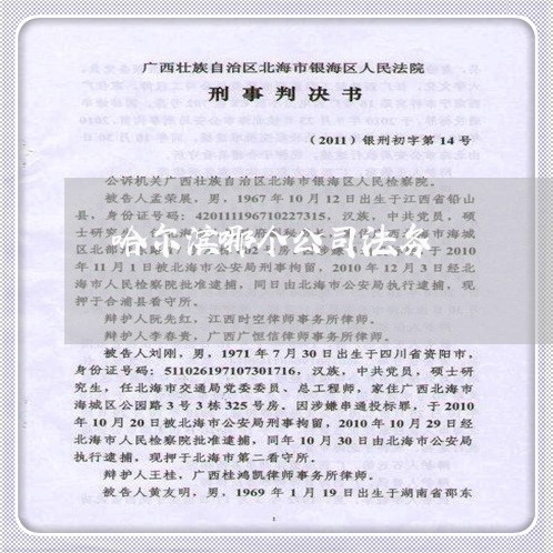 哈尔滨哪个公司法务 哈尔滨哪个公司法务