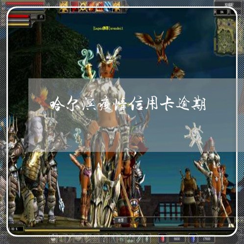 哈尔滨疫情信用卡逾期/2023061616836