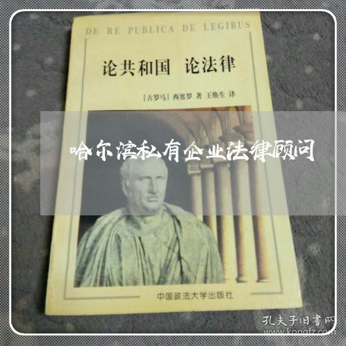哈尔滨私有企业法律顾问/2023061859492 哈尔滨私有企业法律顾问/2023061859492