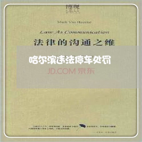 哈尔滨违法停车处罚