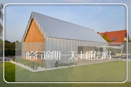 哈行逾期一天上征信吗 哈行逾期一天上征信吗