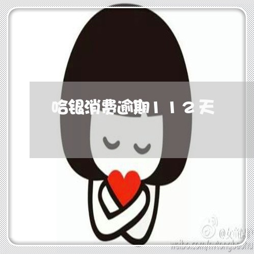 哈银消费逾期112天