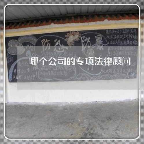 哪个公司的专项法律顾问/2023061849373