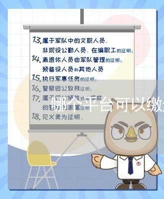 哪个平台可以缴违法停车罚单
