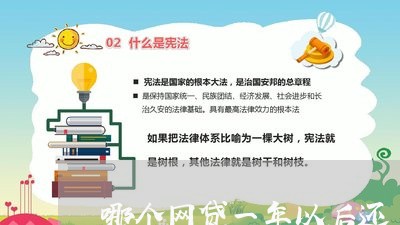 哪个网贷一年以后还/2023120802926