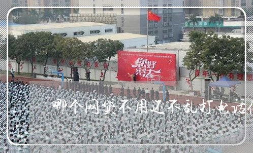 哪个网贷不用还不乱打电话催收的/2023120631493