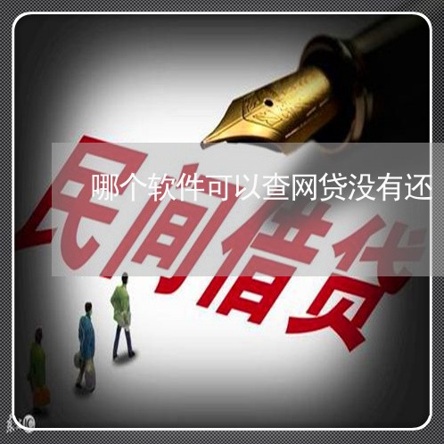 哪个软件可以查网贷没有还/2023120634936