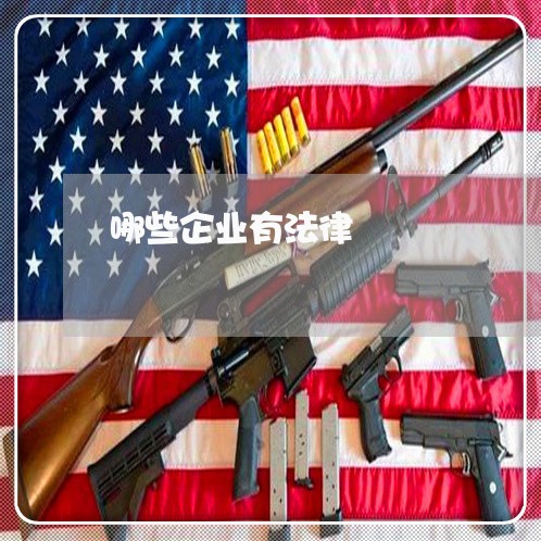 哪些企业有法律