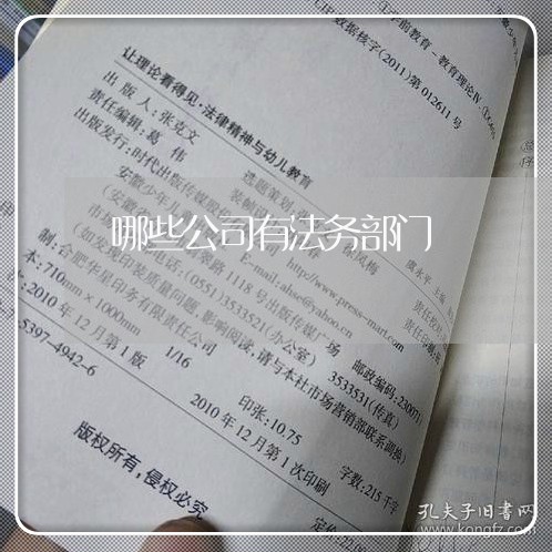 哪些公司有法务部门/2023061740493