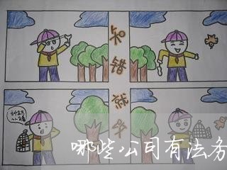 哪些公司有法务部门的 哪些公司有法务部门的