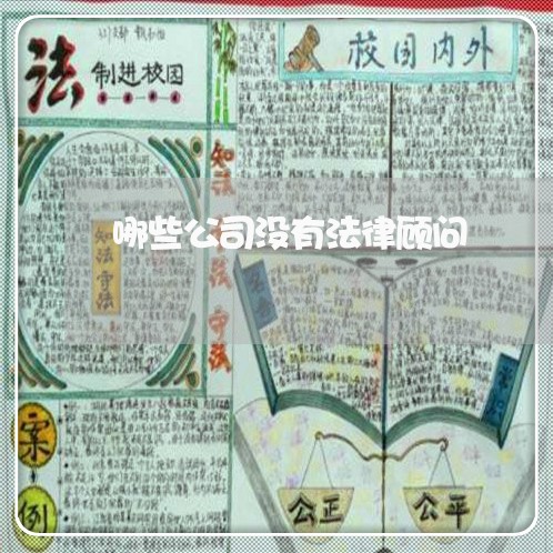哪些公司没有法律顾问/2023061808472