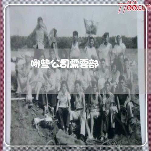 哪些公司需要部