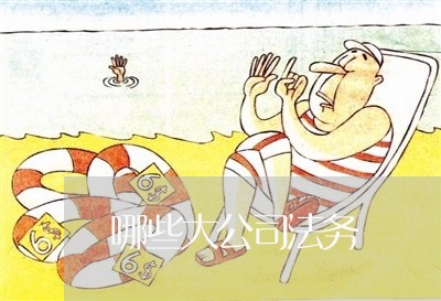 哪些大公司法务 哪些大公司法务