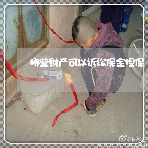 哪些财产可以诉讼保全担保 哪些财产可以诉讼保全担保