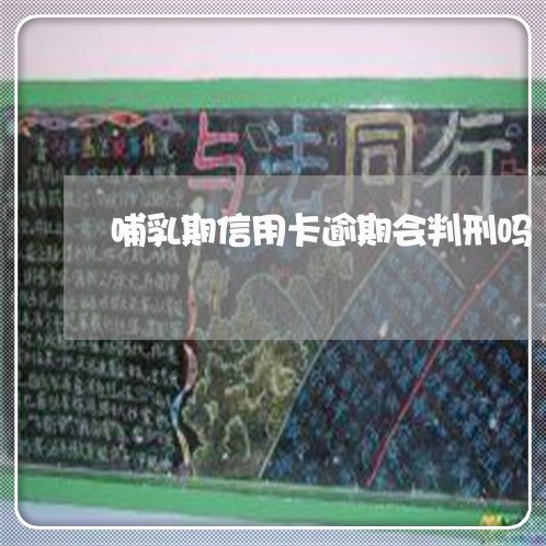 哺乳期信用卡逾期会判刑吗 哺乳期信用卡逾期会判刑吗
