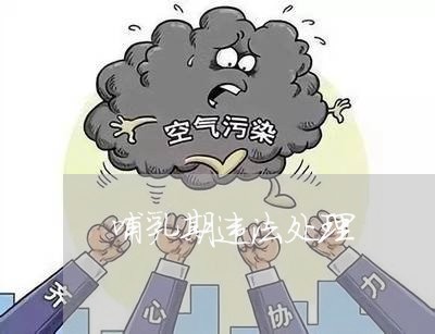 哺乳期违法处理