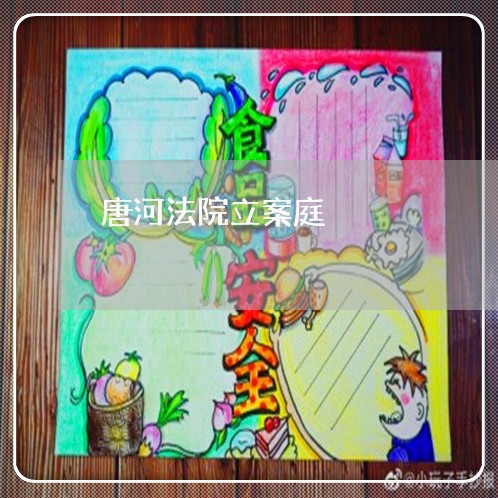 唐河法院立案庭 唐河法院立案庭