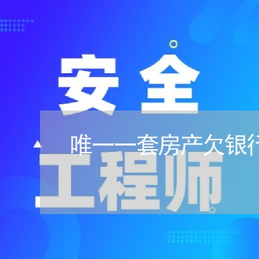 唯一一套房产欠银行房贷/2023041929359