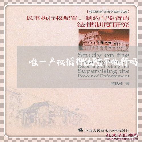 唯一产权抵押法院不执行吗