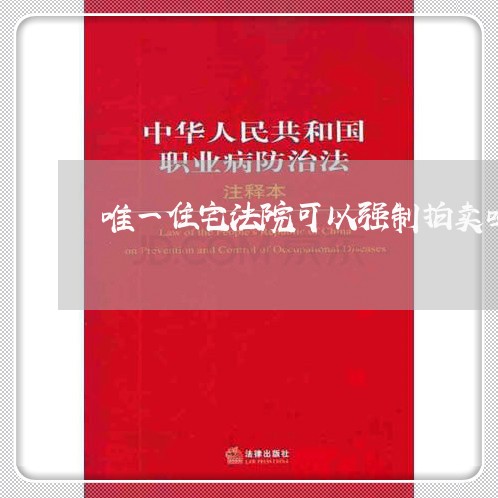 唯一住宅法院可以强制拍卖吗 唯一住宅法院可以强制拍卖吗