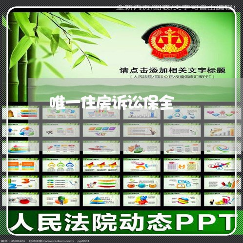 唯一住房诉讼保全 唯一住房诉讼保全