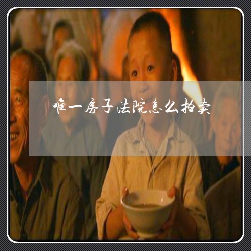 唯一房子法院怎么拍卖 唯一房子法院怎么拍卖