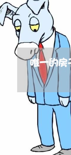唯一的房子法院能拍卖吗