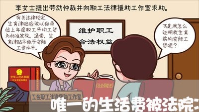 唯一的生活费被法院冻结划扣