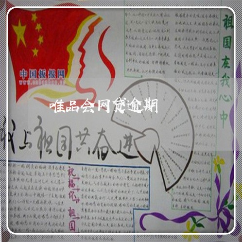 唯品会网贷逾期