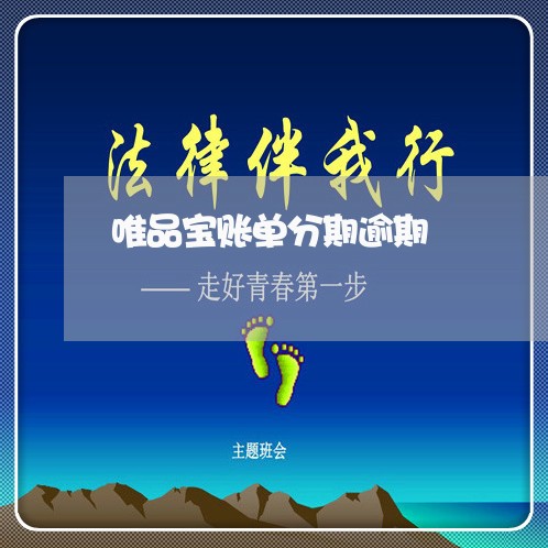 唯品宝账单分期逾期 唯品宝账单分期逾期