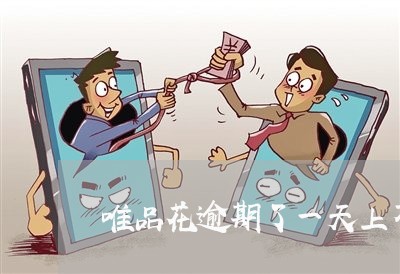 唯品花逾期了一天上不上征信/2023022550614 唯品花逾期了一天上不上征信/2023022550614