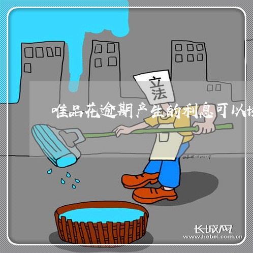 唯品花逾期产生的利息可以协商么