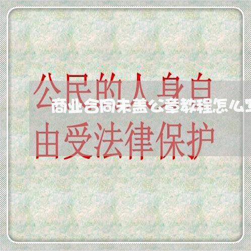商业合同未盖公章教程怎么写/2023041625028