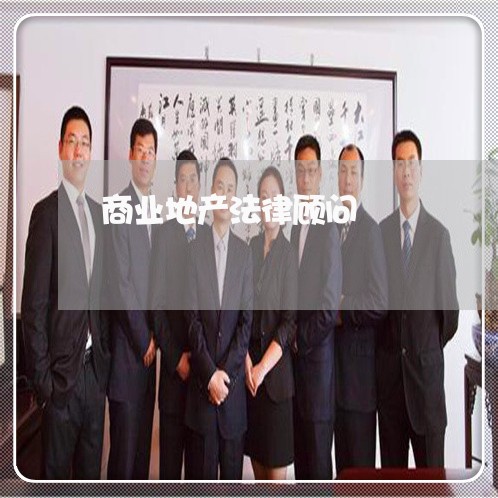 商业地产法律顾问/2023061705845