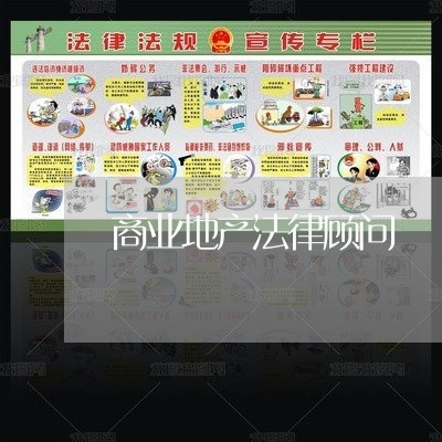 商业地产法律顾问/2023061758381