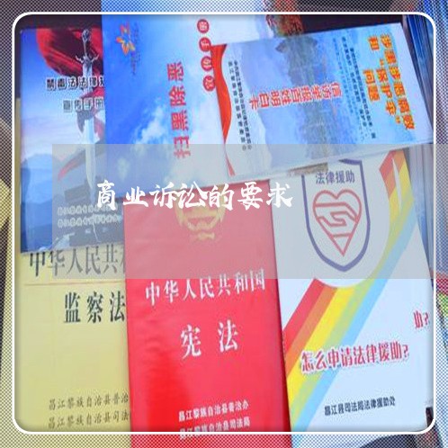 商业诉讼的要求