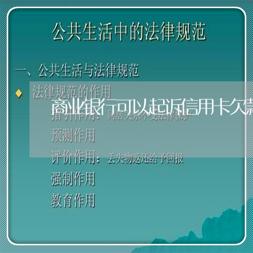 商业银行可以起诉信用卡欠款