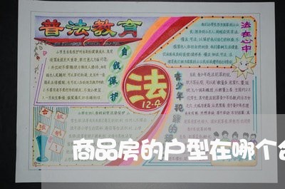 商品房的户型在哪个合同有写/2023060604958 商品房的户型在哪个合同有写/2023060604958