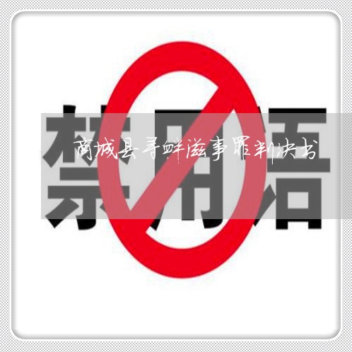 商城县寻衅滋事罪判决书
