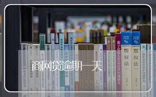 商网贷逾期一天/2023022420925