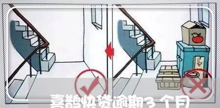 喜鹊快贷逾期3个月