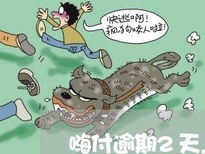 嗨付逾期2天上征信么