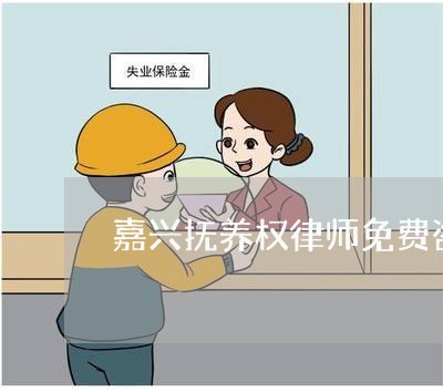 嘉兴抚养权律师免费咨询