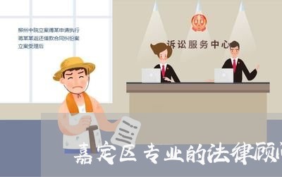 嘉定区专业的法律顾问/2023061871314