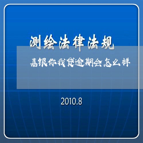 嘉银你我贷逾期会怎么样/2023061851583