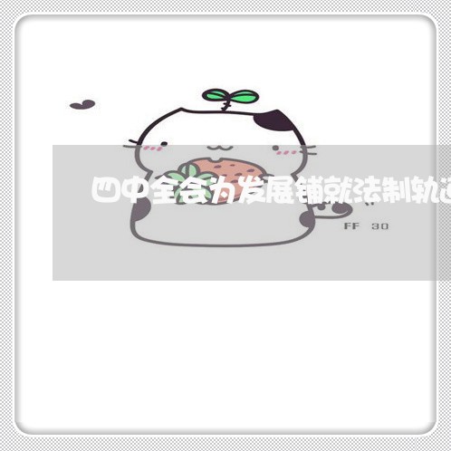 四中全会为发展铺就法制轨道