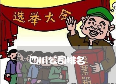 四川公司排名