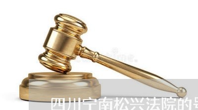 四川宁南松兴法院的号码是多少啊