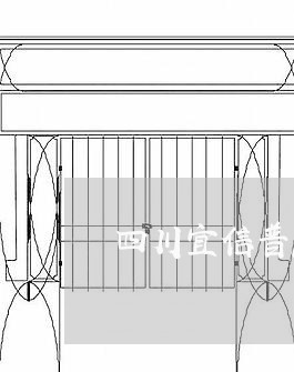 四川宜信普惠逾期怎么办/2023061962693