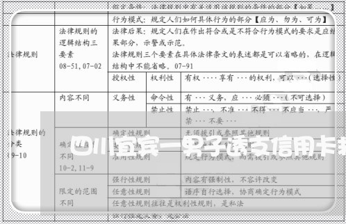 四川宜宾一男子透支信用卡救妻子